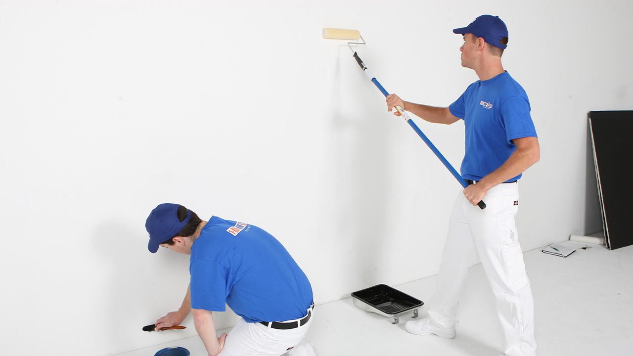 Düziçi Boya Badanacı